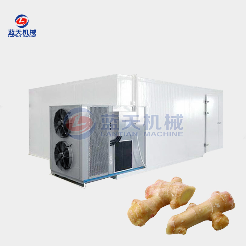 ginger chips dryer machine