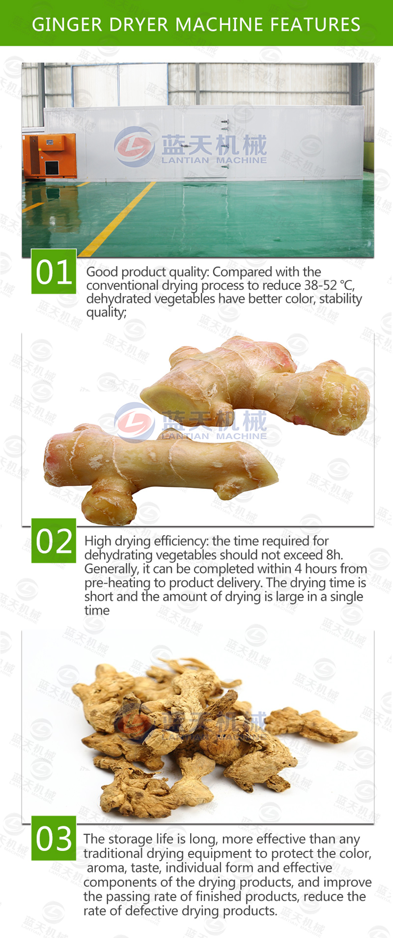ginger drying equipment price