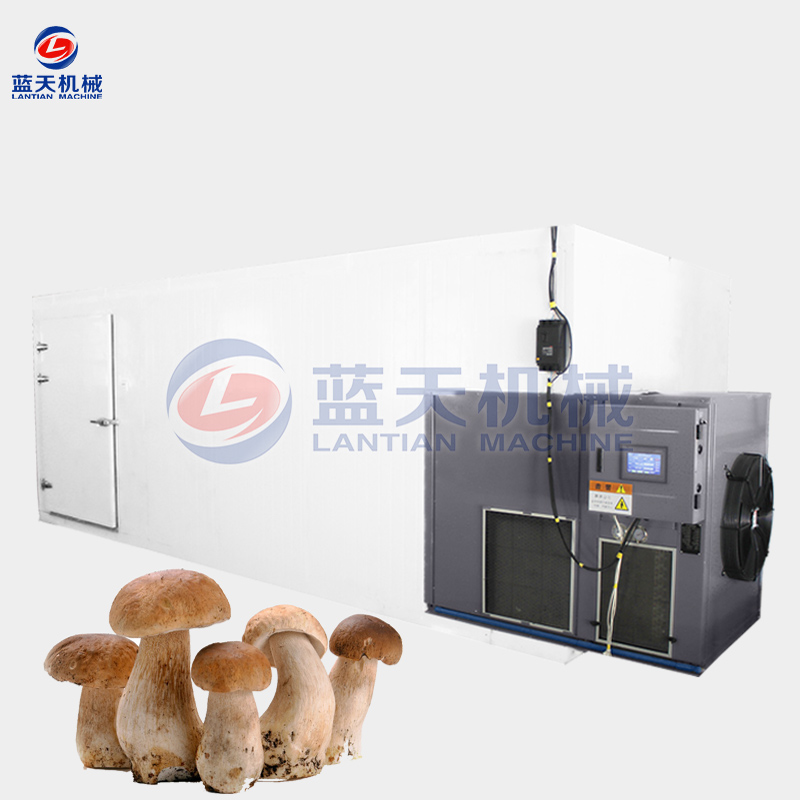 straw mushrooms drying machine