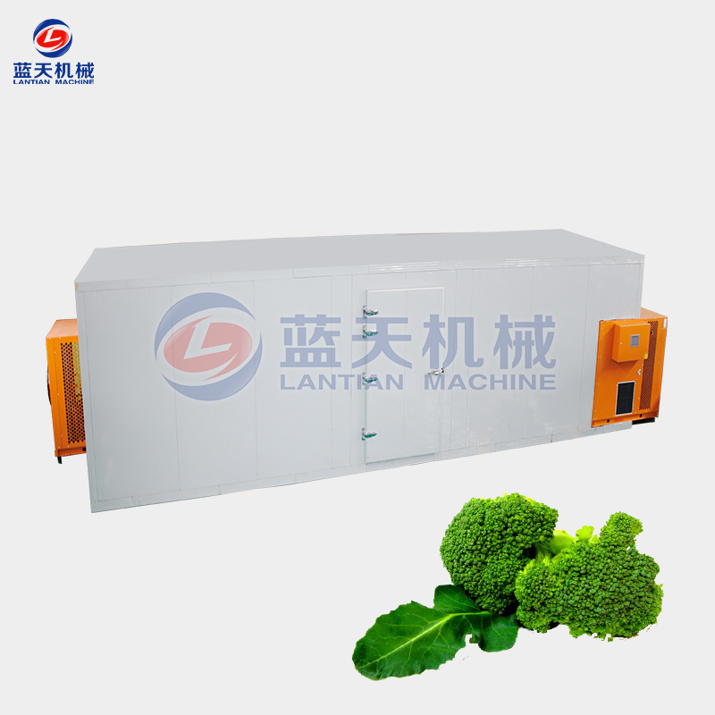 broccoli drying equipment