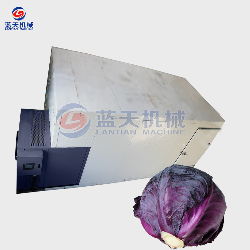 purple cabbages drying machine
