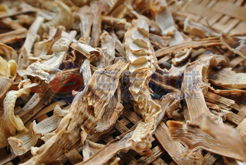 bamboo shoots drying machine