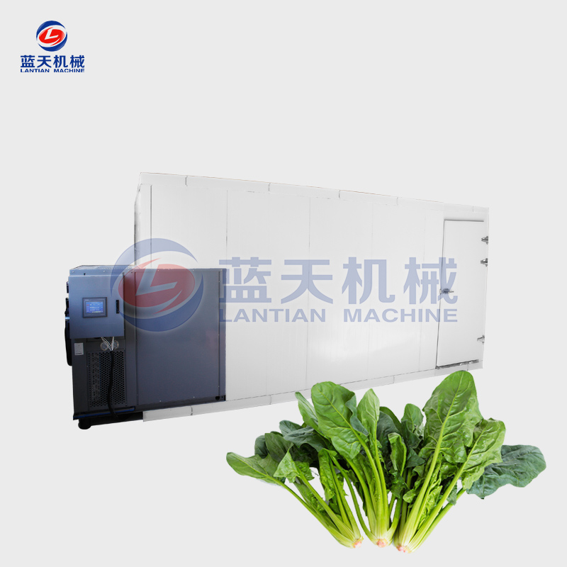 spinach drying equipment