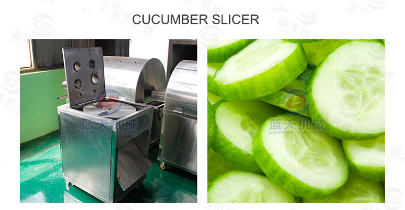 cucumber dryer