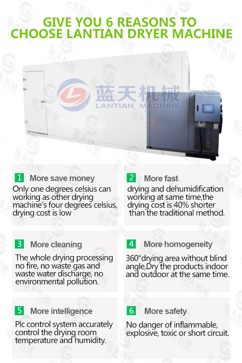 cherry tomato drying machine supplier