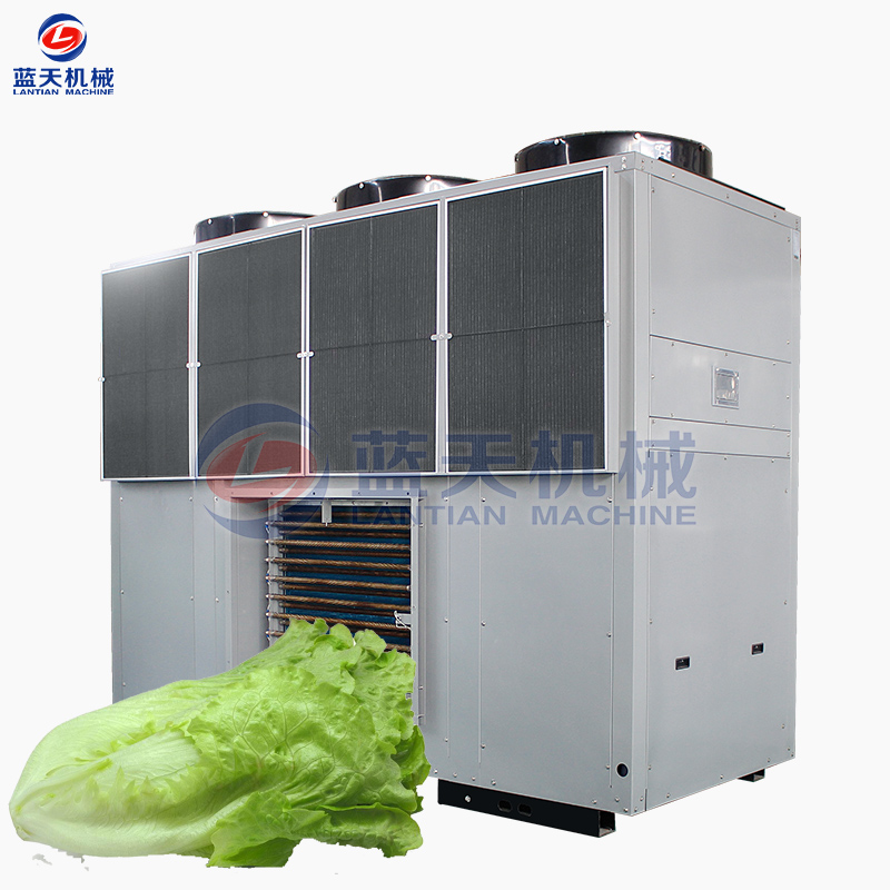 Lettuce dryer