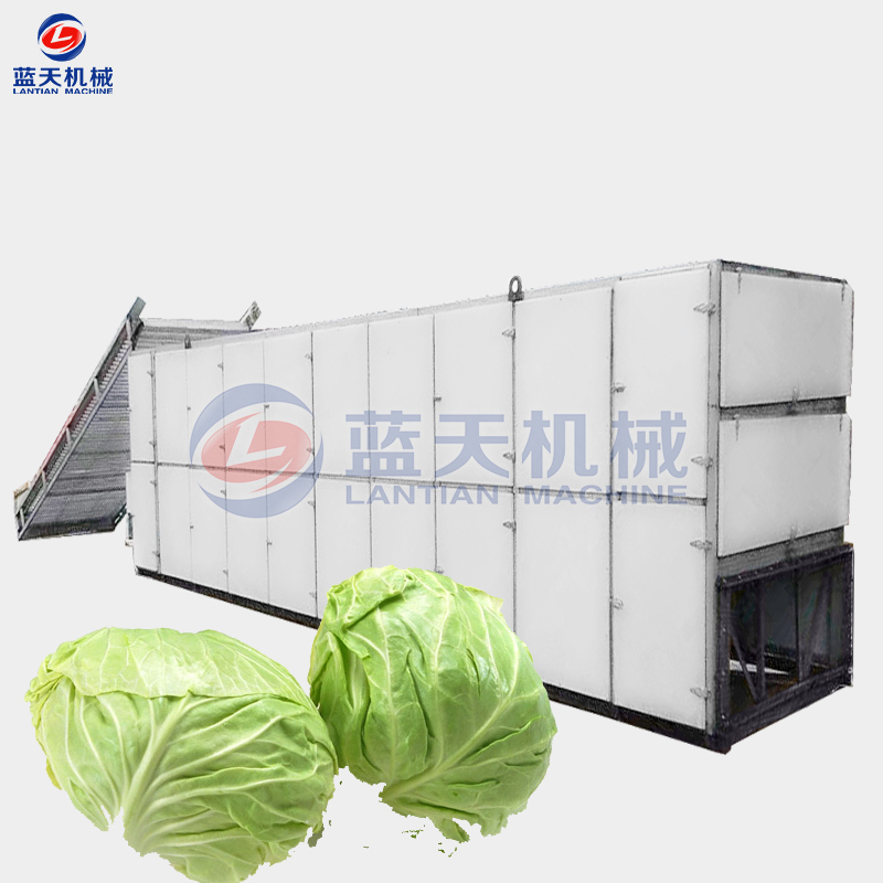 cabbage dryer machine