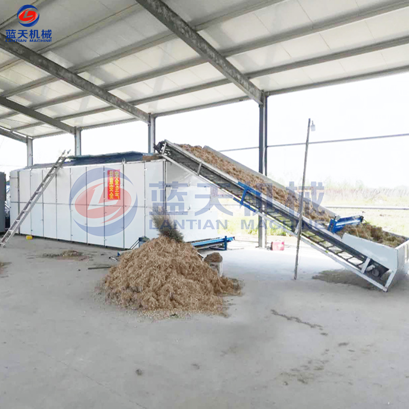 cabbage dryer equipment