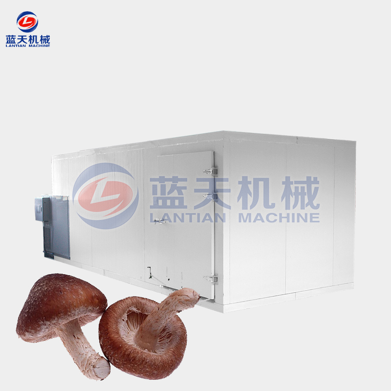 mushroom drying equipment manufacturer