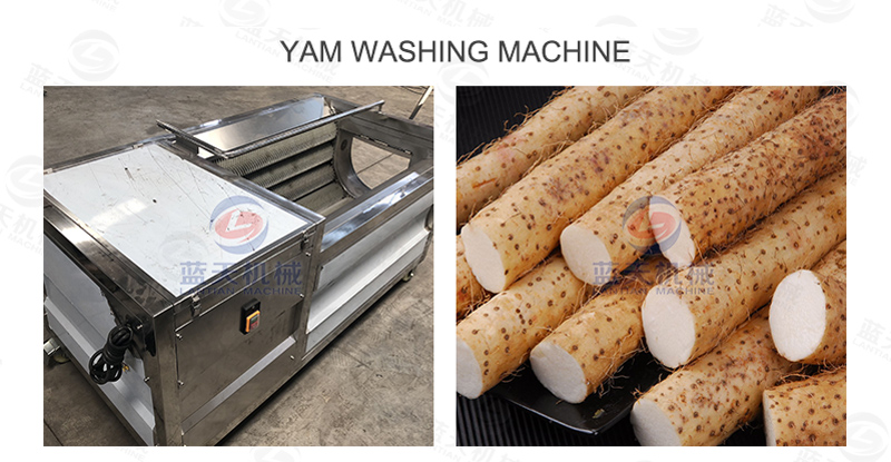 yamaimo dryer