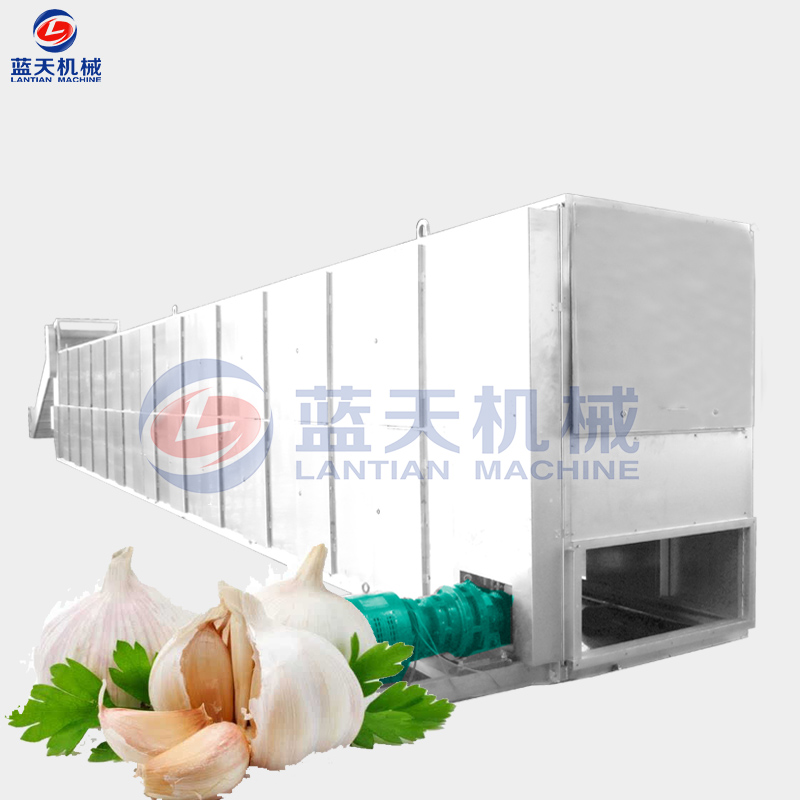 garlic belt dryer machine