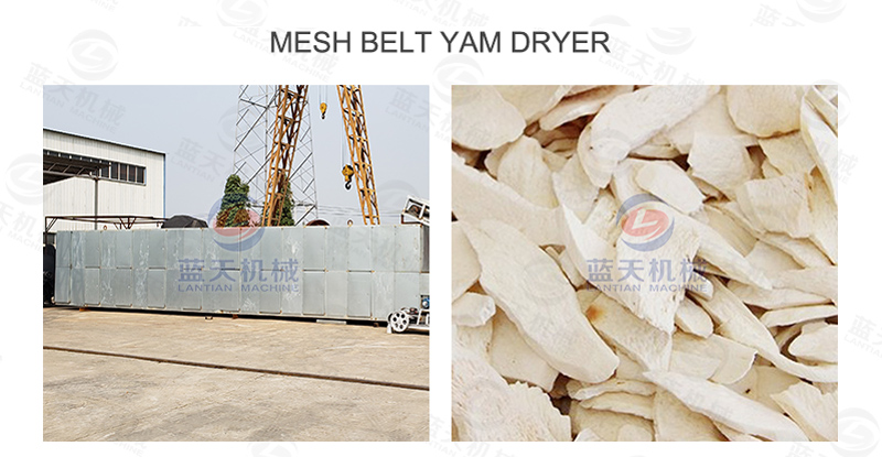 mesh belt yam dryer