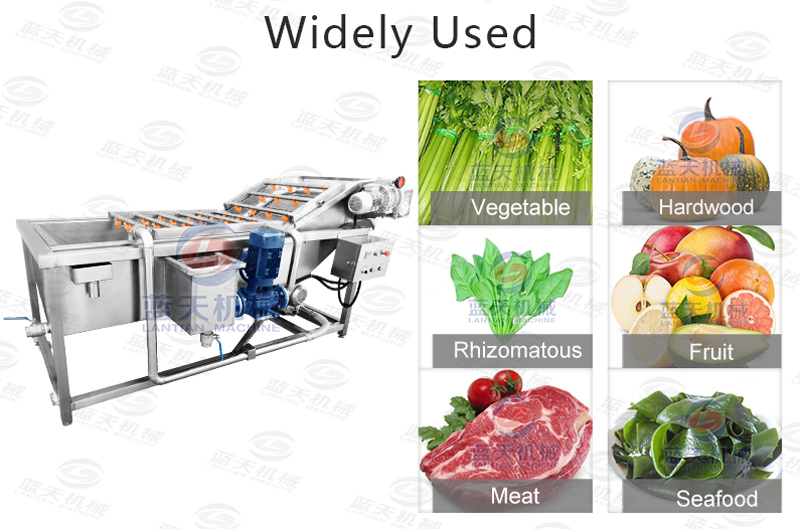 Widely used of celery washer