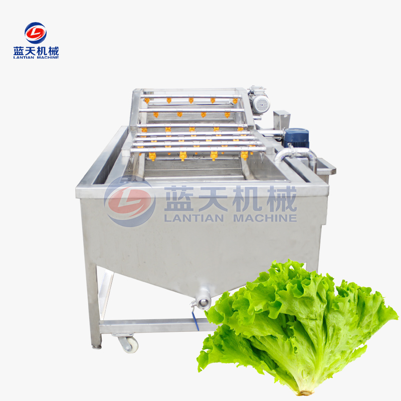 Lettuce Washer