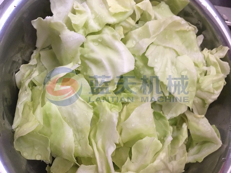 Our cabbage washer machine price is just,and cabbage washing machine is used bubble washing machine