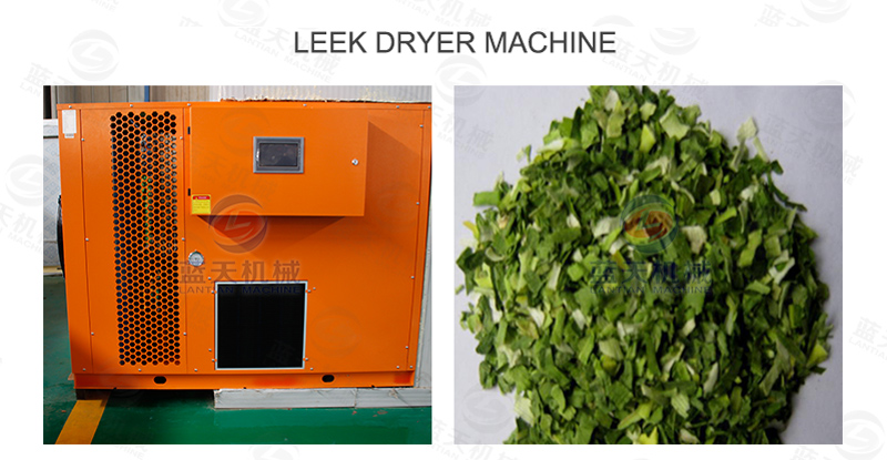 Leek dryer machine