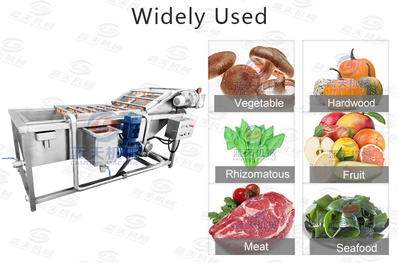 Widely used of mushroom washer machine