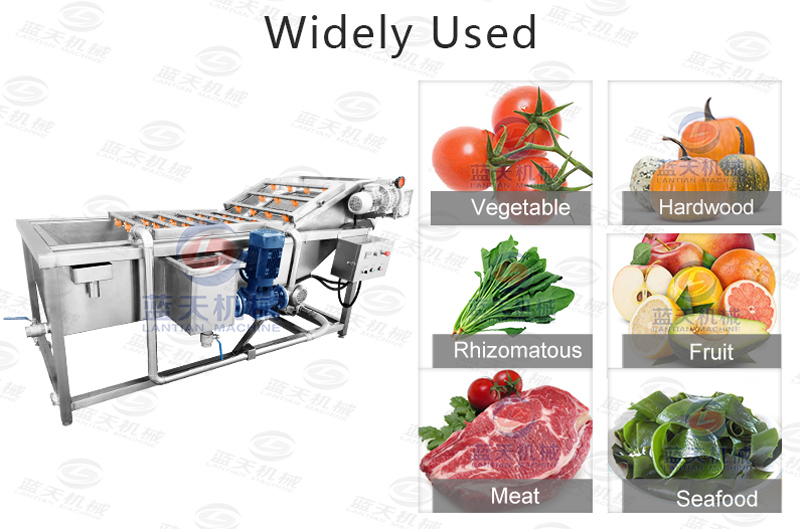 Widely used of cherry tomato washing machine