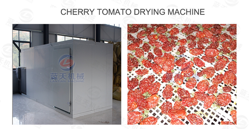 cherry tomato drying machine