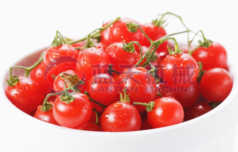 Our cherry tomato washer will not damage cherry tomatoes and has a good washing effect.