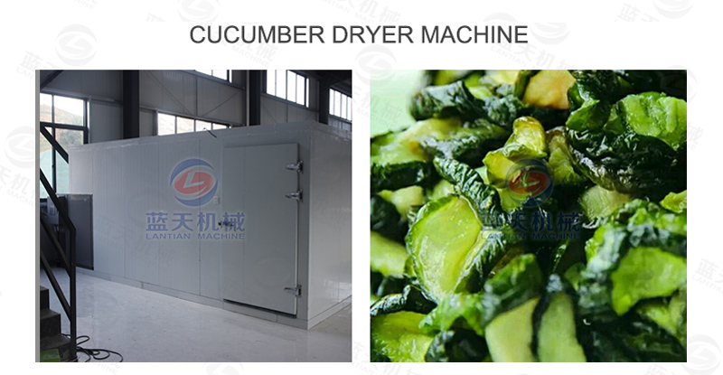 Cucumber dryer machine