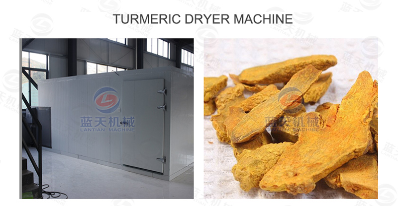 Turmeric dryer machine