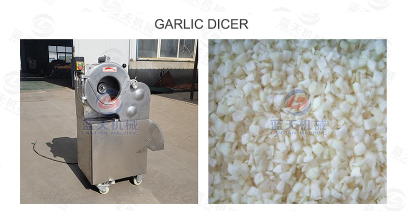 Garlic dicer