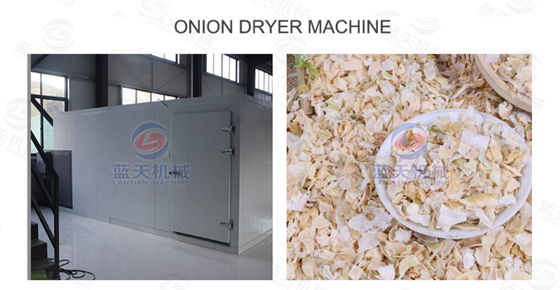 Onion dryer machine