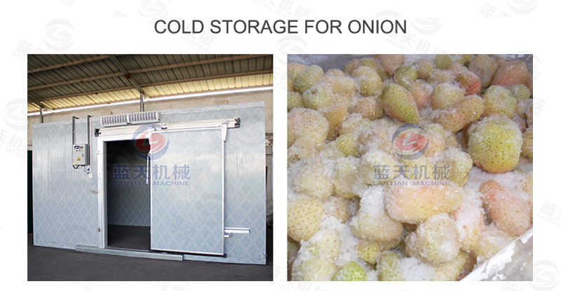 Cold storage for onion