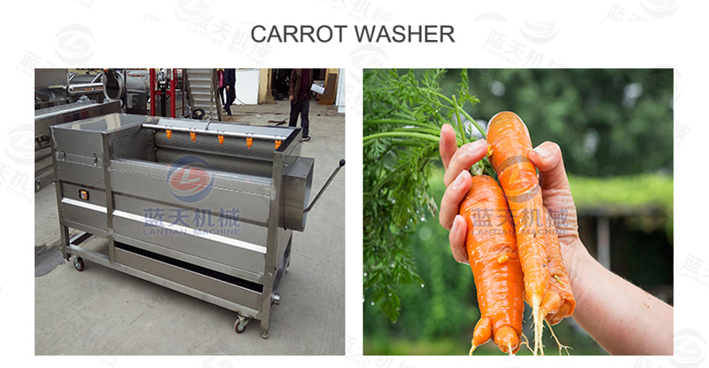 Carrot washer