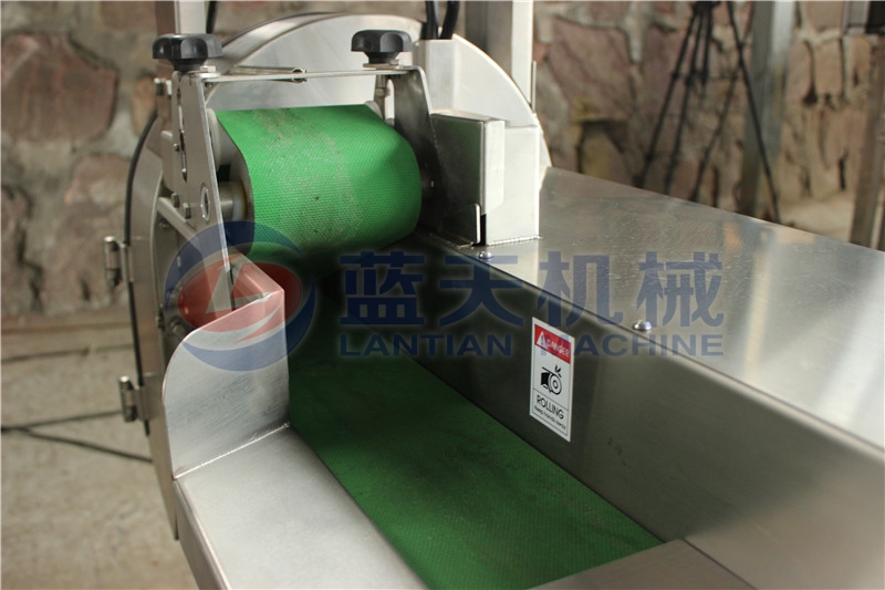 Panorama of yam slicing machine