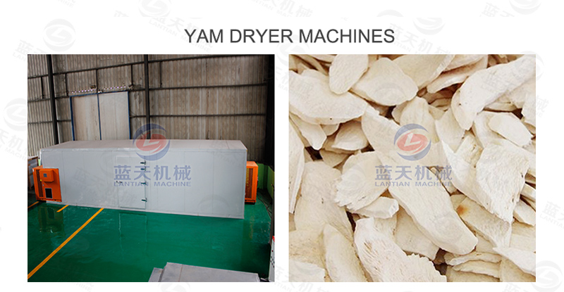 Yam dryer machines