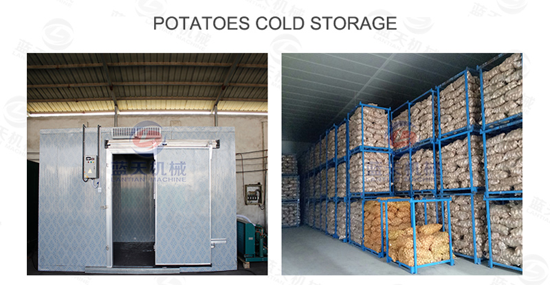 Potatoes cold storage
