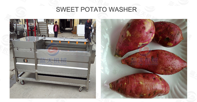 sweet potato washer