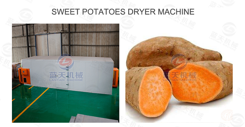 sweet potatoes dryer machine