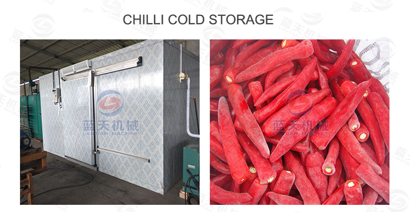 Chilli cold storage