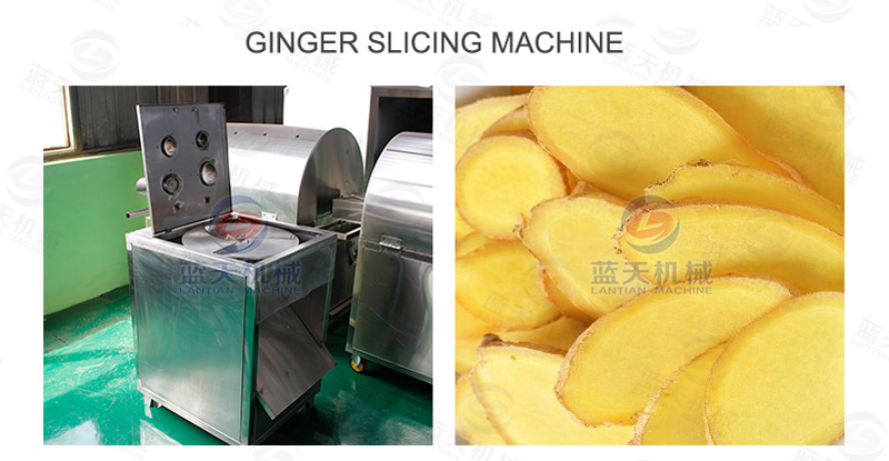 Ginger slicing machine