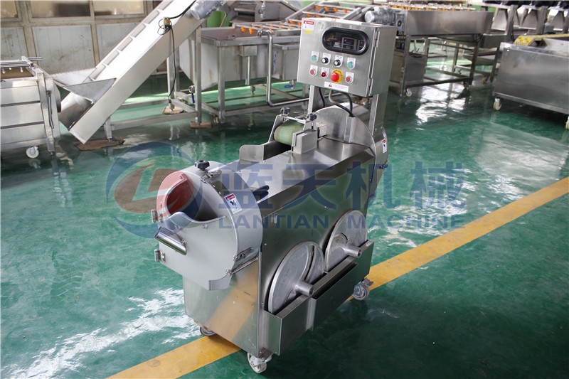 Panorama of cassava chips slicing machine