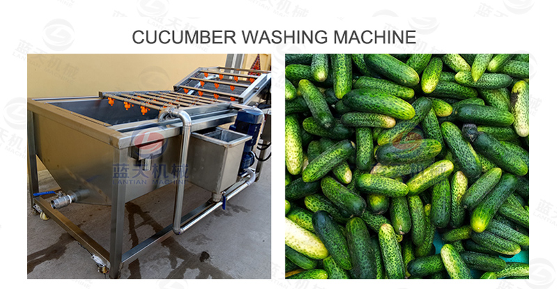 Cucumber washing machine