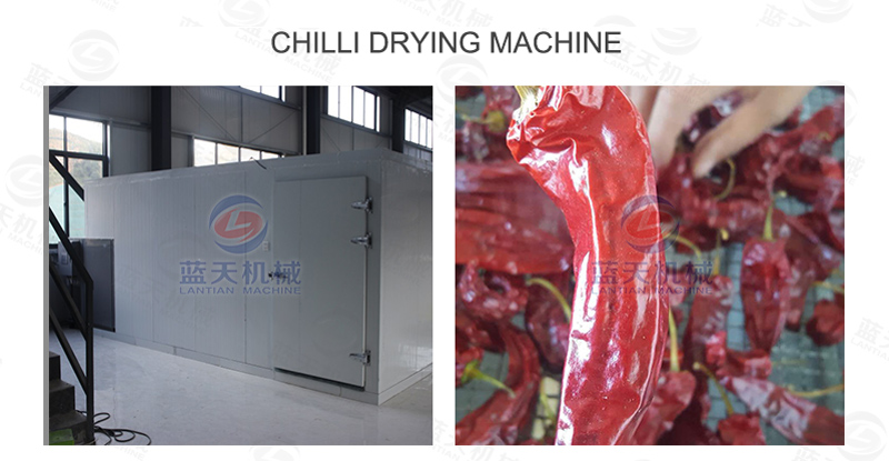 Chilli drying machine
