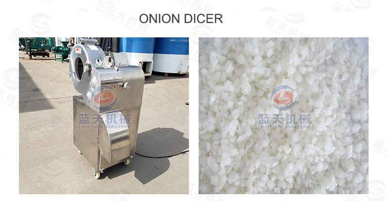 Onion dicer