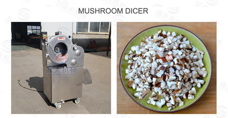 Mushroom dicer