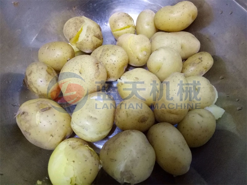 Potato Chips Drying Processing