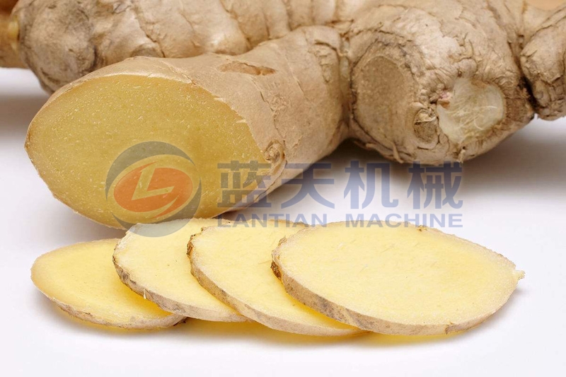 Ginger slicing machine