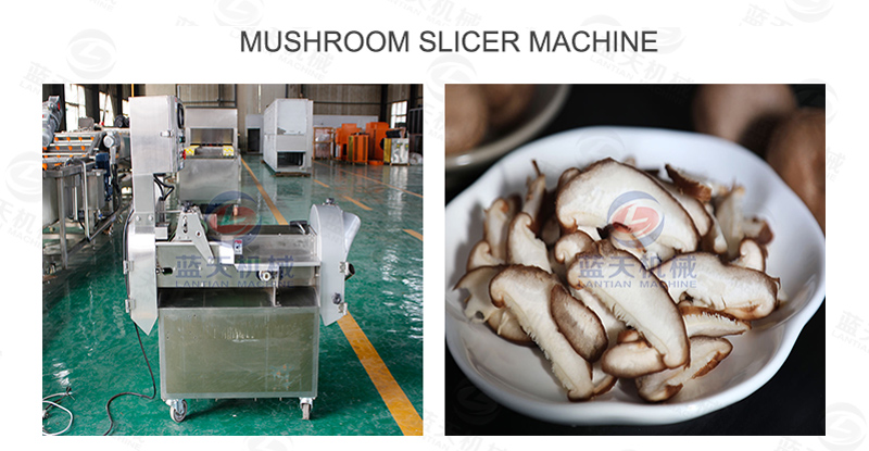 mushroom slicer machine
