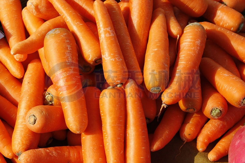 Our carrot drying machines keeps materials ediblr value well