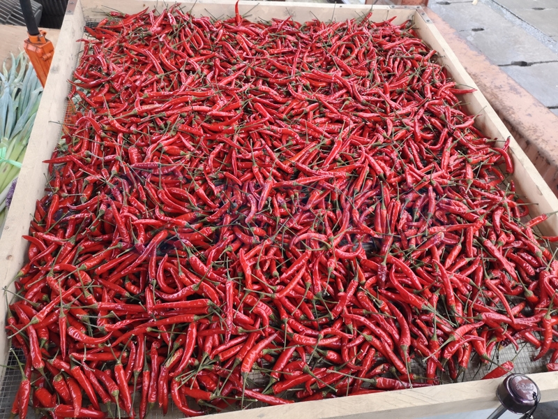 Our chilli dryer machine can keep the edible value well