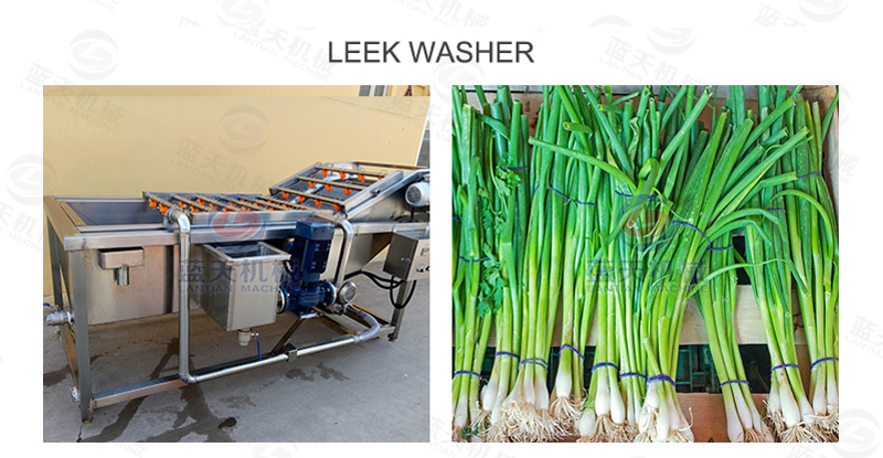 Leeek washer