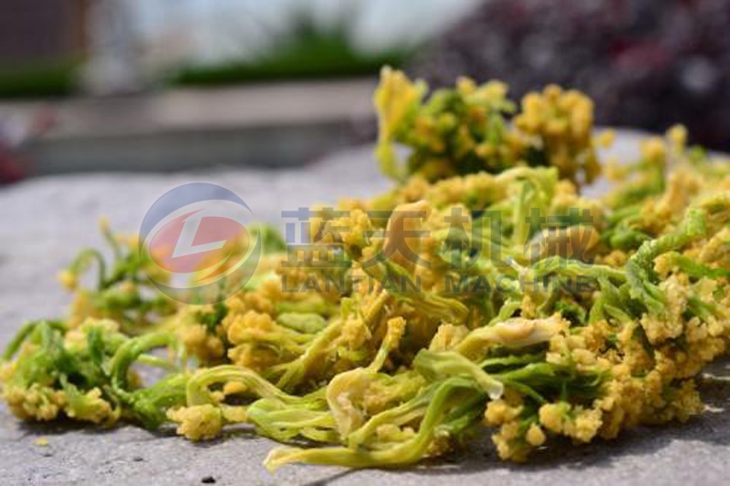 Cauliflowers after drying by our cauliflowers dryer nutrients and edible value keep well