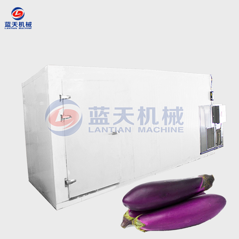 Eggplant Dryer Mmachines